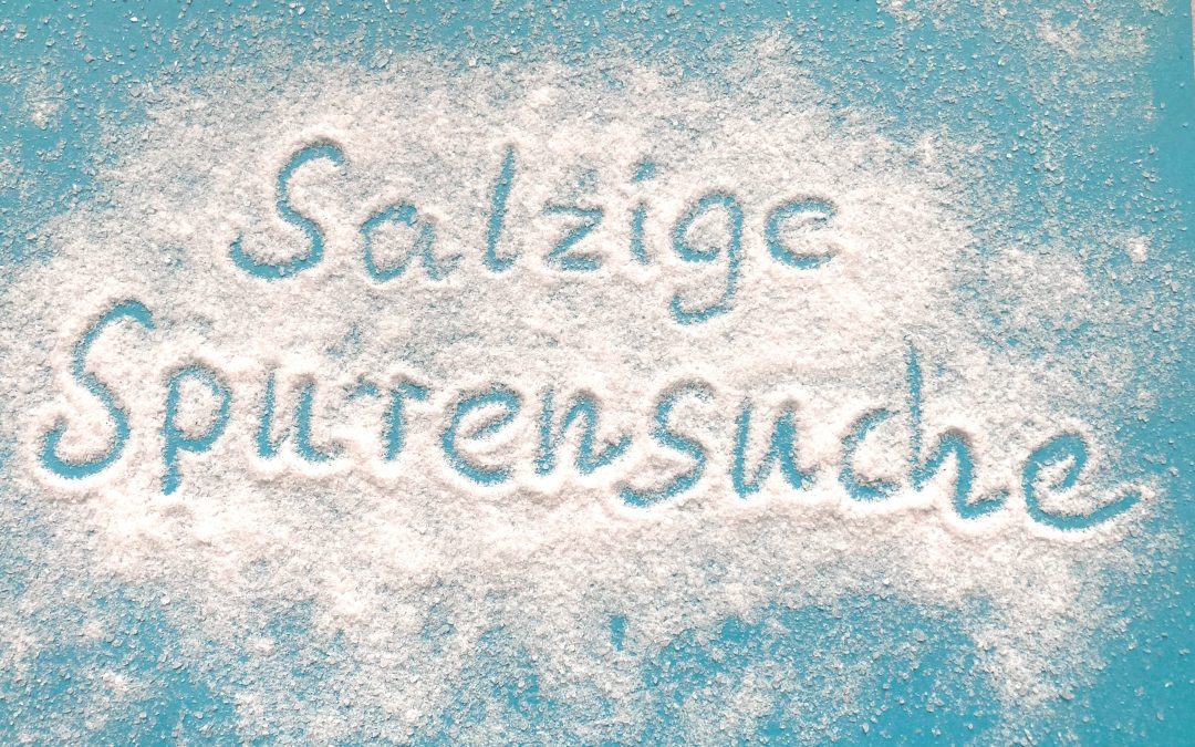 Lesung „Salzige Spurensuche“ im Literaturtreffen am 25.11.2024